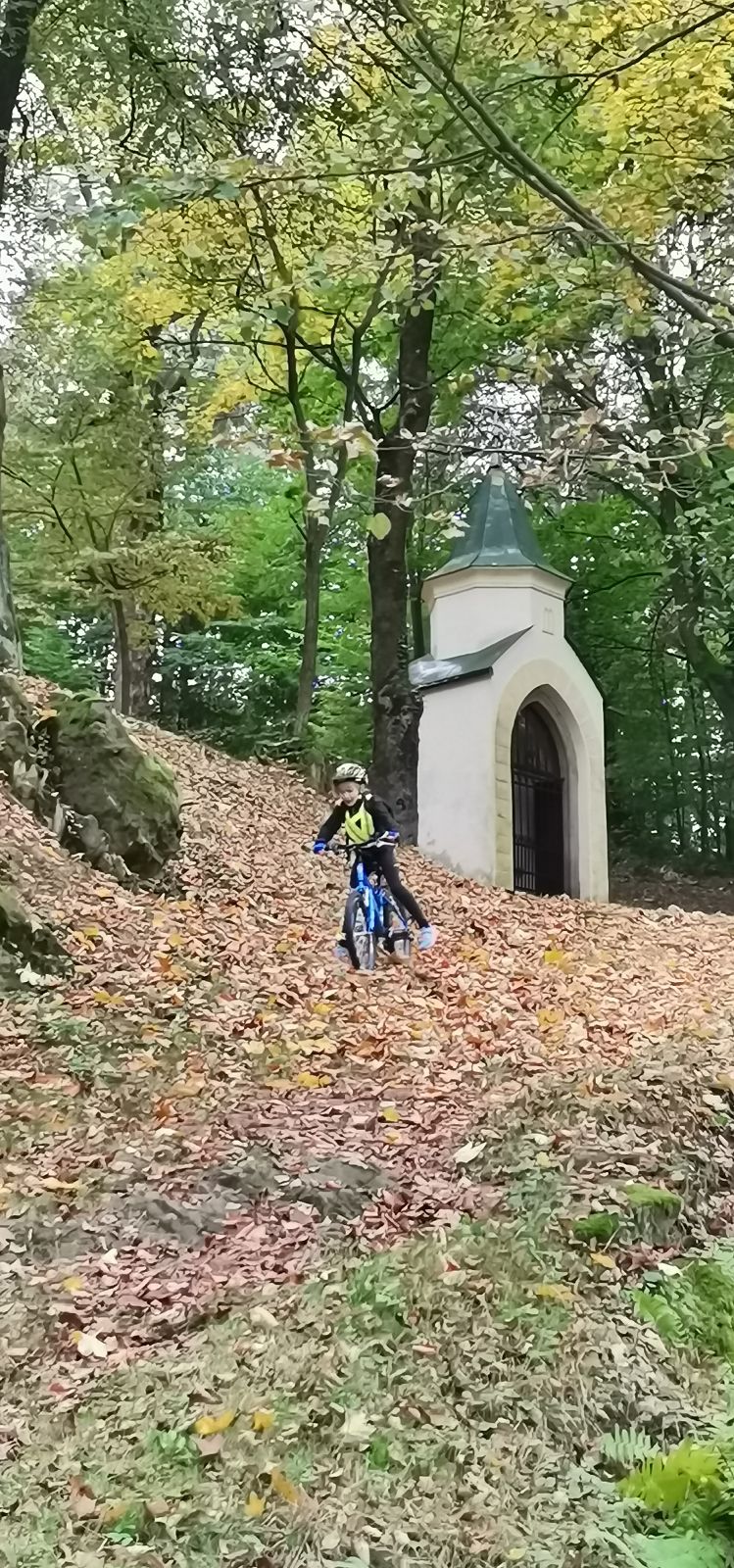img00050