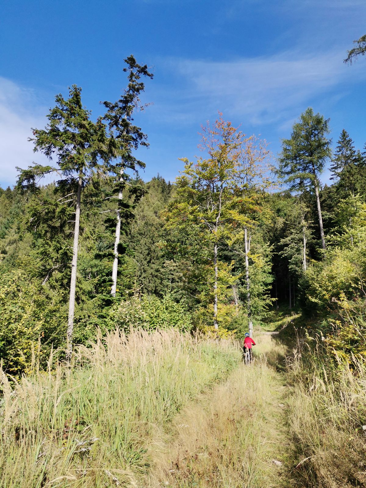 (87)img00010